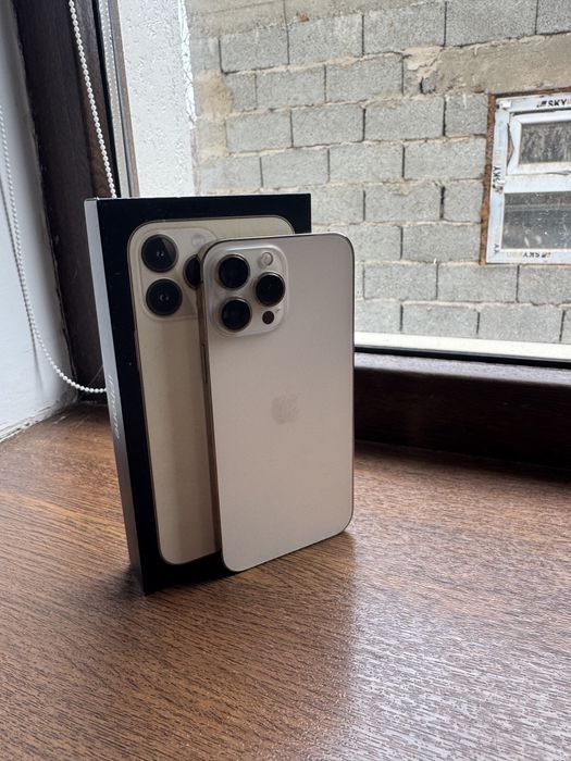 Iphone 13 pro max 256g