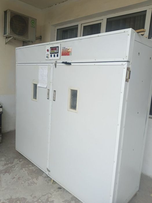 Инкубатор  сотилади 3000 талик.