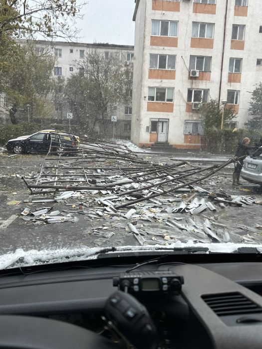 Toaletari/Taieri copaci interventii NON-STOP