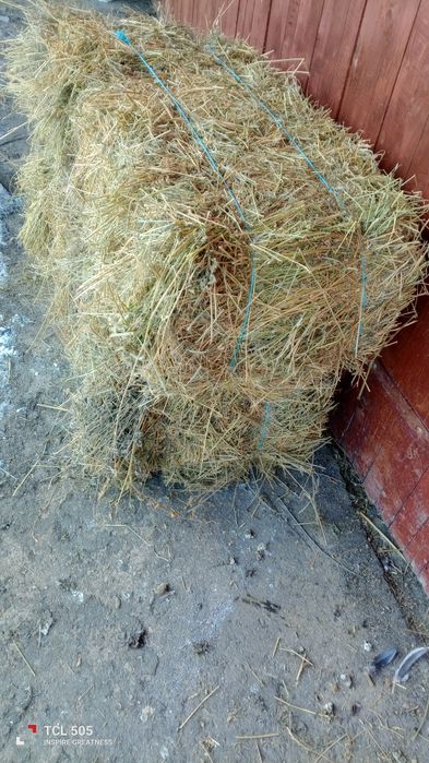 De vânzare baloții de lucernă 20 lei