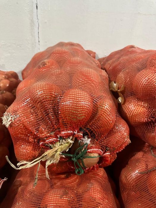 Лук репчатый в Алматы