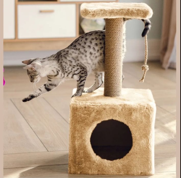 Домик, когтеточка для кошек и котят.