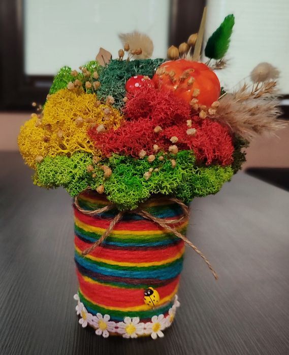 Различни видове кашпи със скандинавски мъх