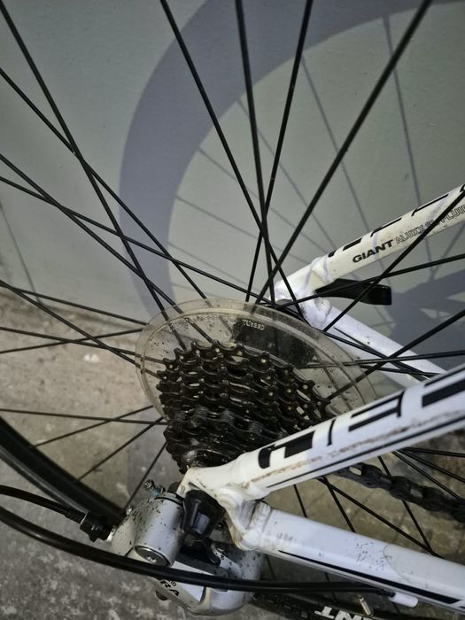 Bicicleta de sosea Cursiera