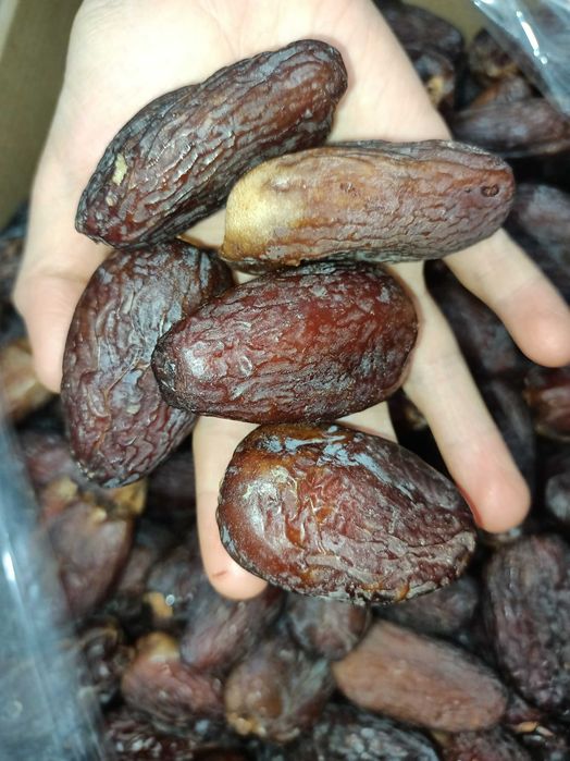 Финики Аджва Суккари