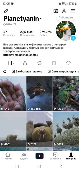 Тикток аккаунт сатылады