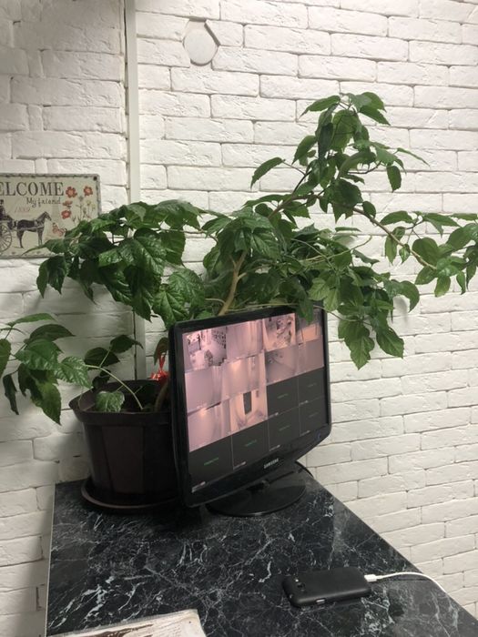 Недвижимость