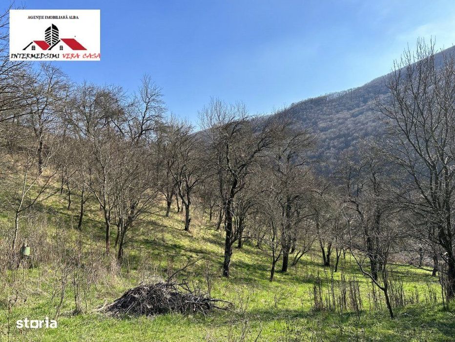 Teren intravilan - extravilan 9,3 Ha de vanzare Matacina Jud Alba