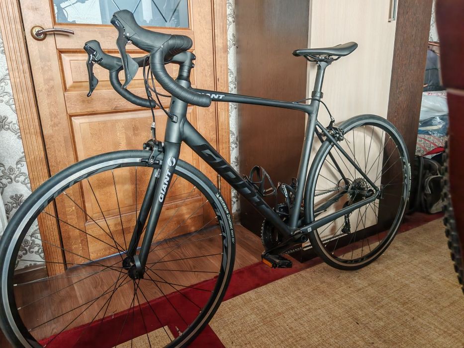 Giant contend 0 2024