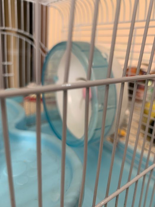 Клетка для хомячков и террариум