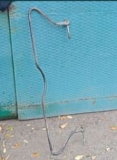 Тяга стабилизатора газ 31105 волга