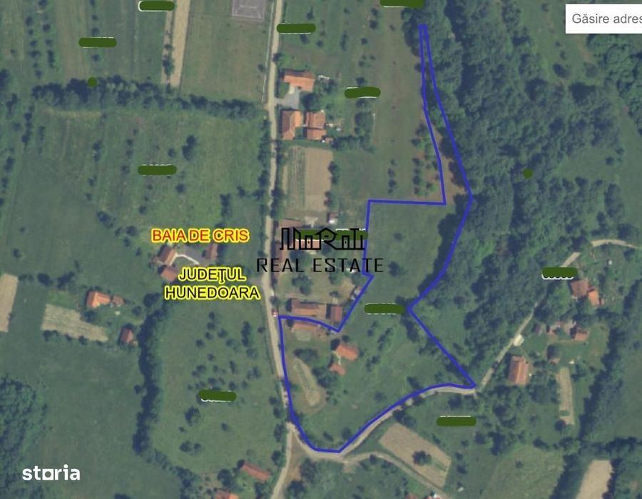 10 000 mp teren intravilan cu priveliste