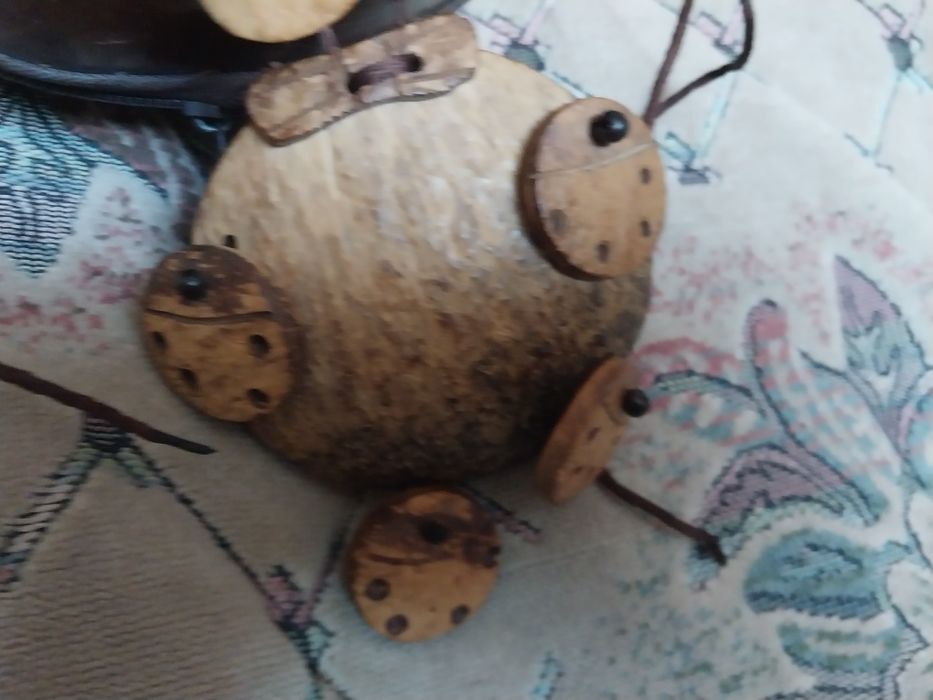 продам экзотику.