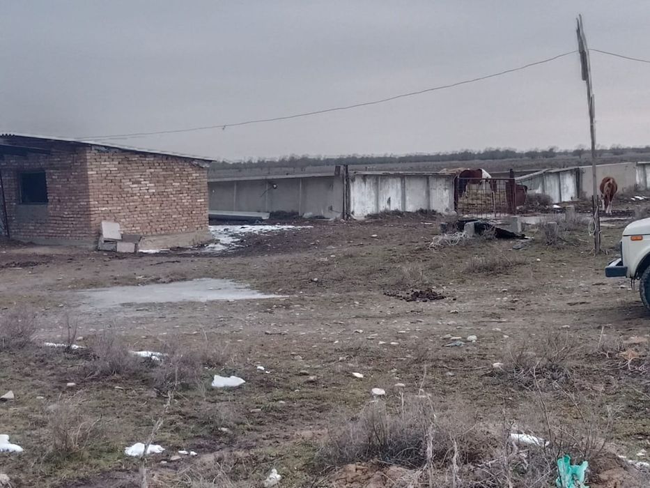 Продается фазенда