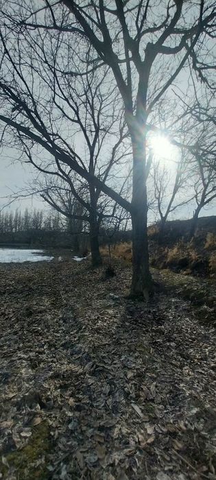 30 yillik kafolati bor