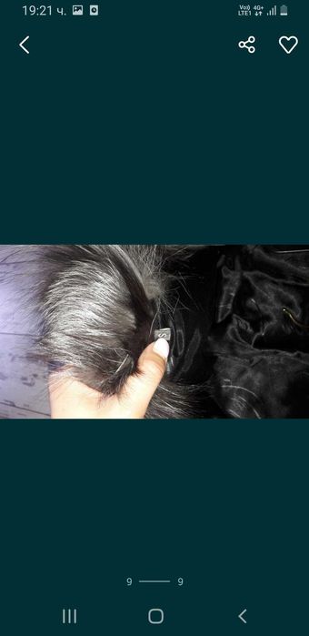 Нов елек сребърна лисица