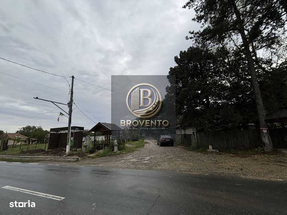 Teren Moara Vlasiei / Strada Cantonului - Padure