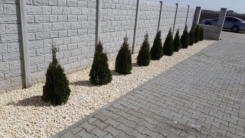 Piatra decorativa/ piatra garduri