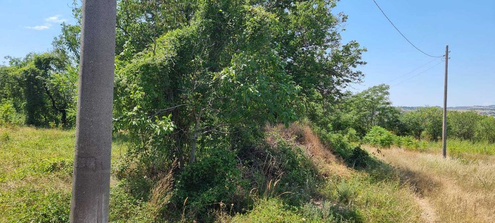 556-Продава се парцел с площ от 800 кв.м. в местността "Обзор"