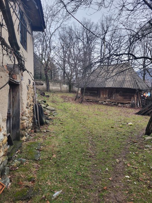 Vand doua proprietati (casa plus teren) in Musetesti Gorj