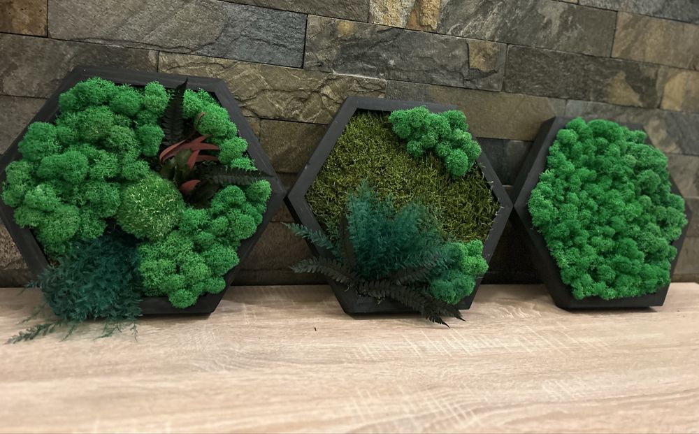 Set 3 hexagoane premium