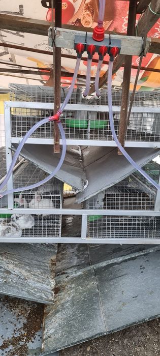 Cușcă pentru iepuri