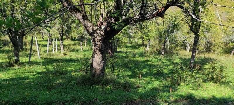 Продават се 3 земеделски имота (поземлени)