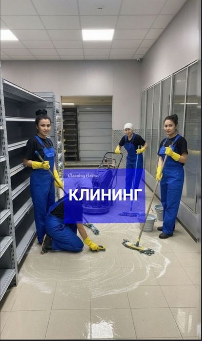 Клининг Алматы профессиональная чистка
