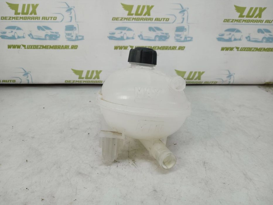 Vas antigel 217102572r Renault Captur 2 (2019 - 2020)