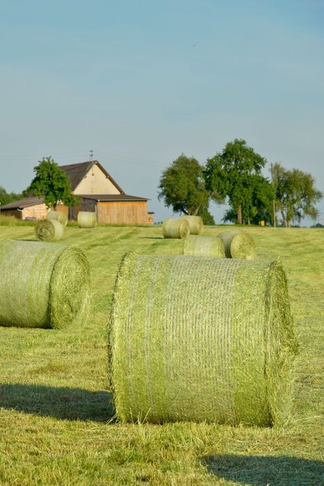 продам сено в рулонах