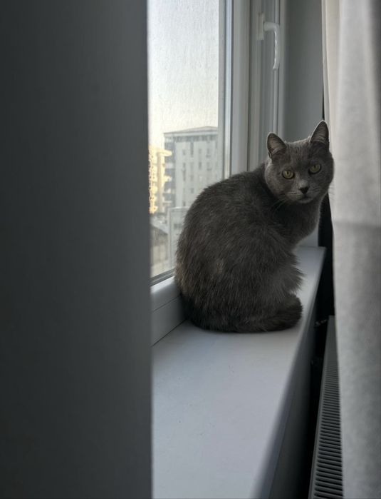 Stormi isi cauta casuta