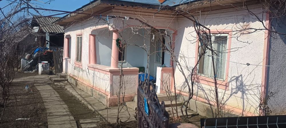 Casa la tara, Teleorman 1300 m²
