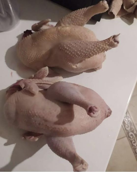 Тушка домашней курицы