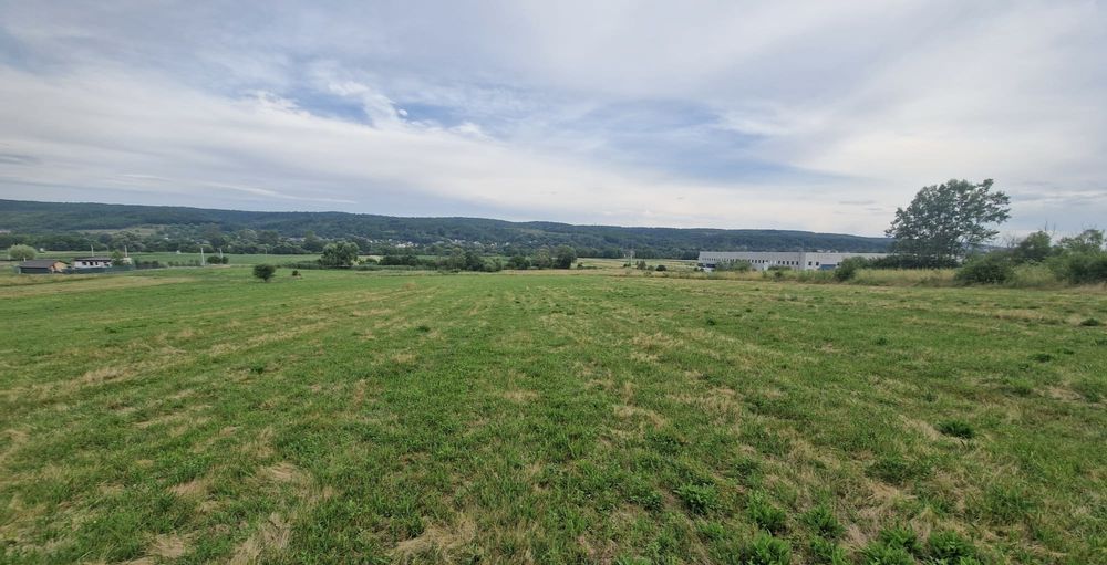 Teren 6.400 mp de vânzare – Mioveni, Racovița – 2.517 mp intravilan