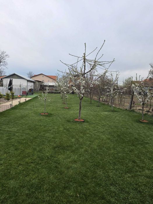 De vanzare casa in timisoara