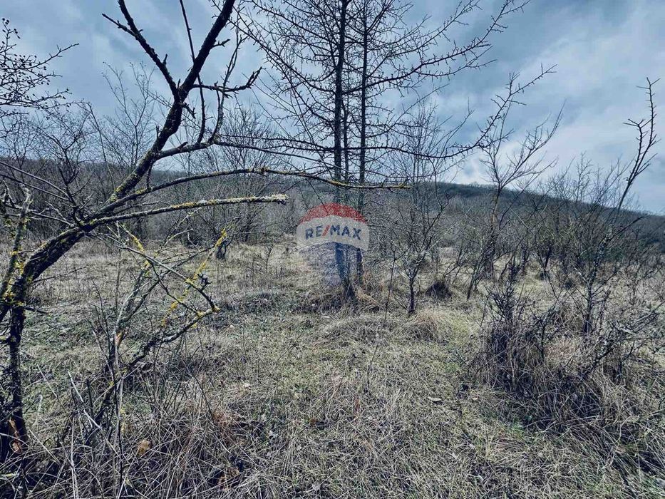 Продава се Парцел в с. Църква, Област Добрич - 25000 кв.м за 3 €/кв.м - Снимка #8