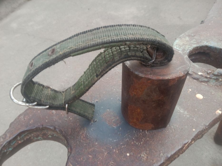 Калакольчик сиыр қойға ешкіге