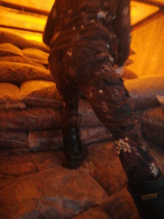 Мульча. Кора лиственницы.