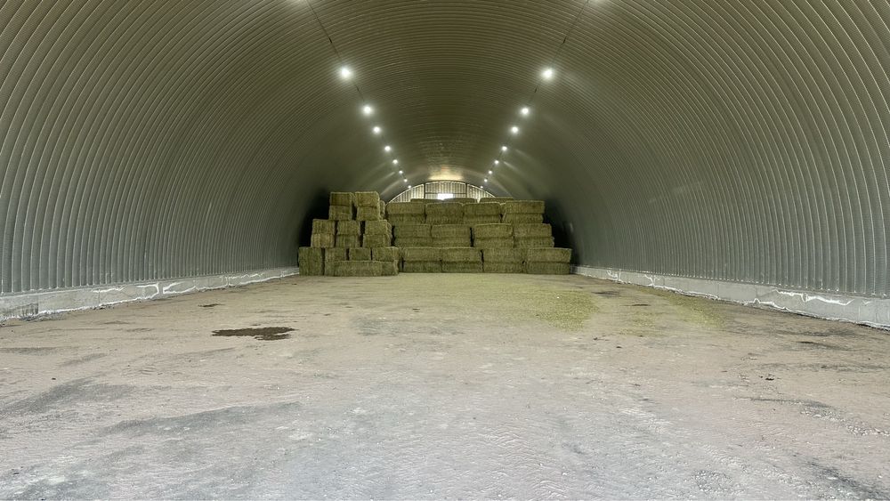 Сено и сенаж люцерны