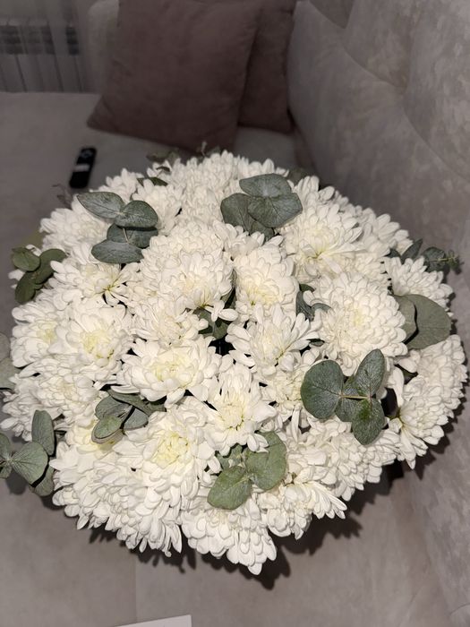 Цветы хризантема