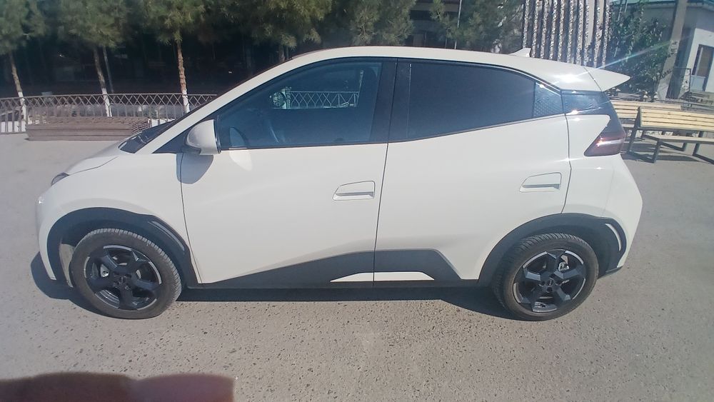 Byd seagul  сотилади