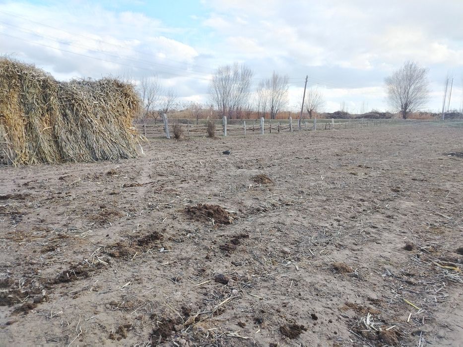 Uy sotiladi dalahovli