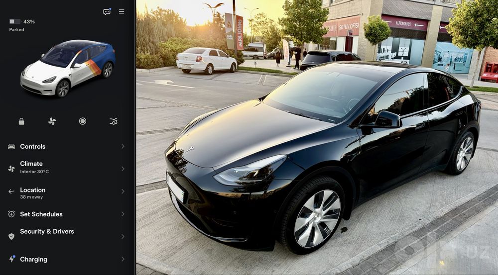 Tesla Y Base 2023, black/black с мастер аккаунтом