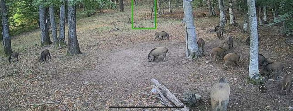 Двойна соларна камера 4G(сим карта) V360pro