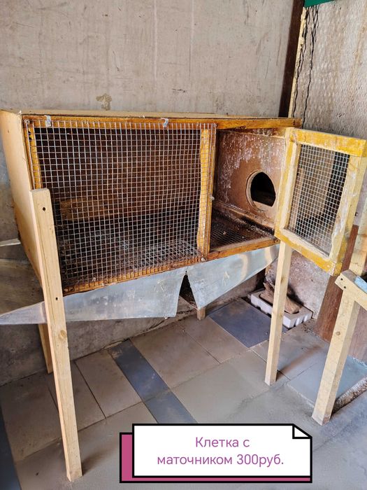 Клетки для кроликов