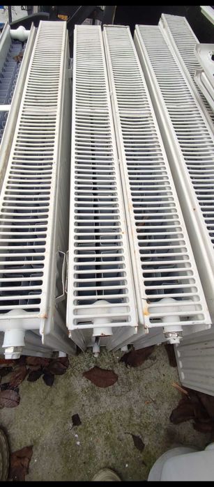 Teracota mare+serpentina