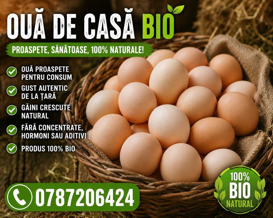 Vând ouă de casă bio pt consum–proaspete, naturale, fără concentrate