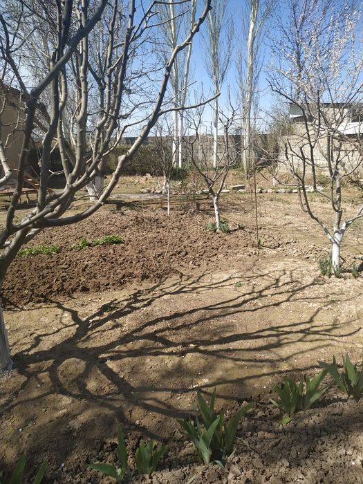 Продается Дом, участок 17 соток