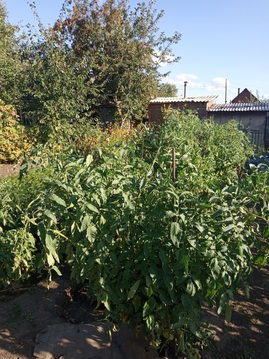 Продам дачу остановка 18 школа