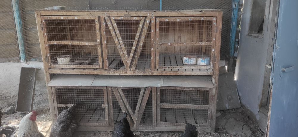 Клетка для кроликов